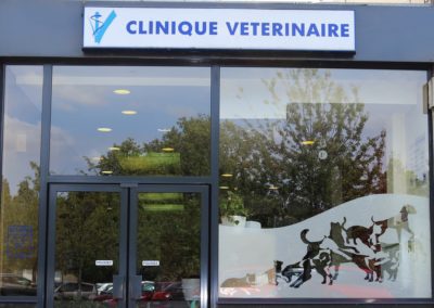 Stage vétérinaire canin dans la Nièvre (58)