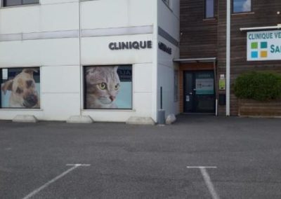 Stage vétérinaire canin à Carcassonne (11)