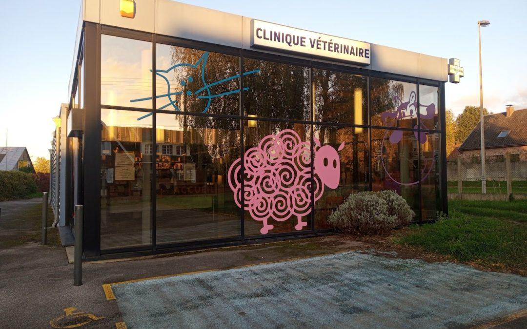 Vétérinaire mixte à dominante canine CDI