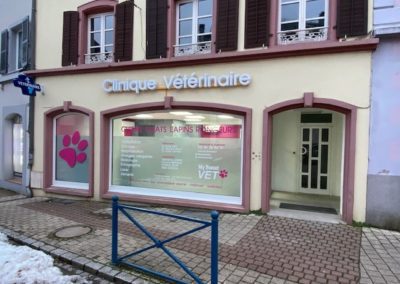VÉTÉRINAIRE CANIN AUTONOME (H/F) PRÈS DE MULHOUSE/BELFORT DANS LE HAUT-RHIN (68)