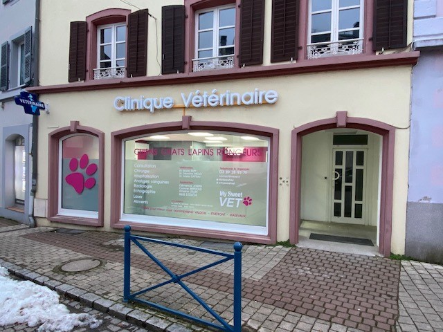 VÉTÉRINAIRE CANIN AUTONOME (H/F) PRÈS DE MULHOUSE/BELFORT DANS LE HAUT-RHIN (68)