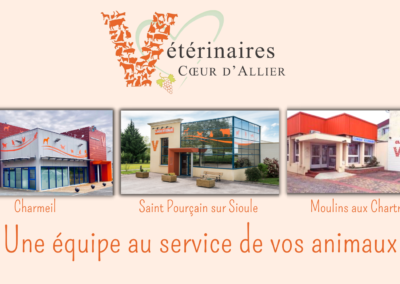 Stage vétérinaire Mixte au coeur de l&rsquo;Allier (03)
