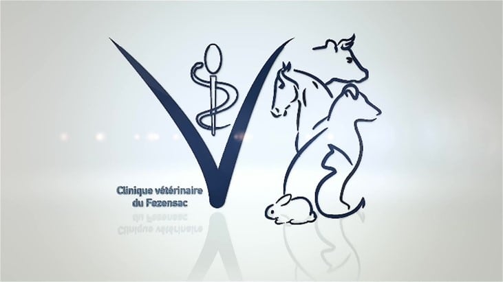 Vétérinaire mixte dans le Gers (F/H)