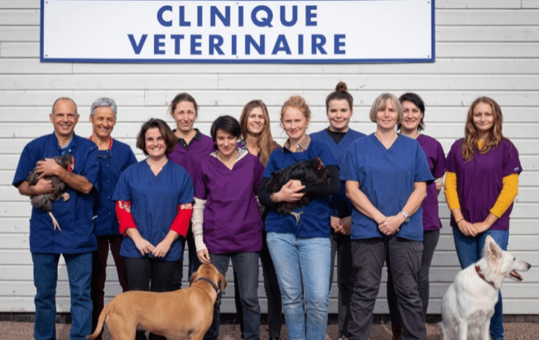 Vétérinaire mixte débutant ou confirmé dans la Nièvre (F/H)