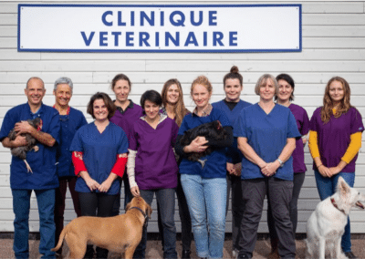 Vétérinaire mixte débutant ou confirmé dans la Nièvre (F/H)