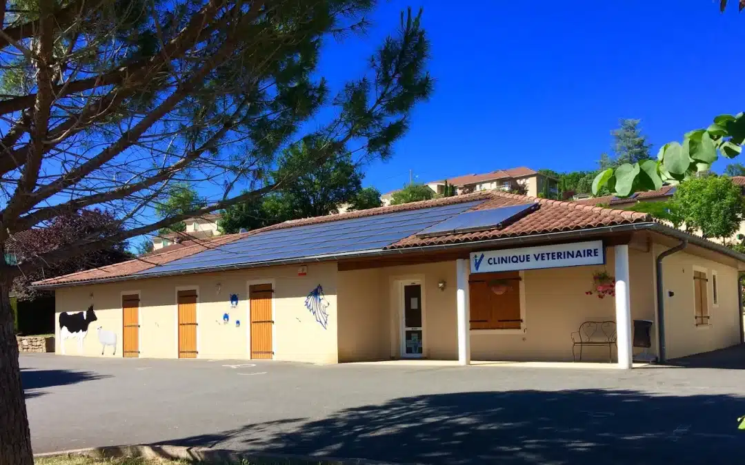 🐾 Vétérinaire canin (H/F) – Poste à pourvoir à Figeac !