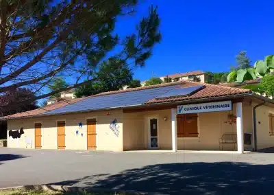 🐾 Vétérinaire canin (H/F) – Poste à pourvoir à Figeac !