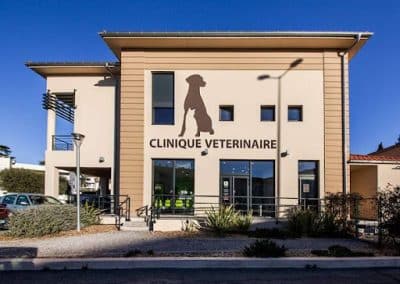 Vétérinaire canin généraliste (H/F) – Draguignan (83)