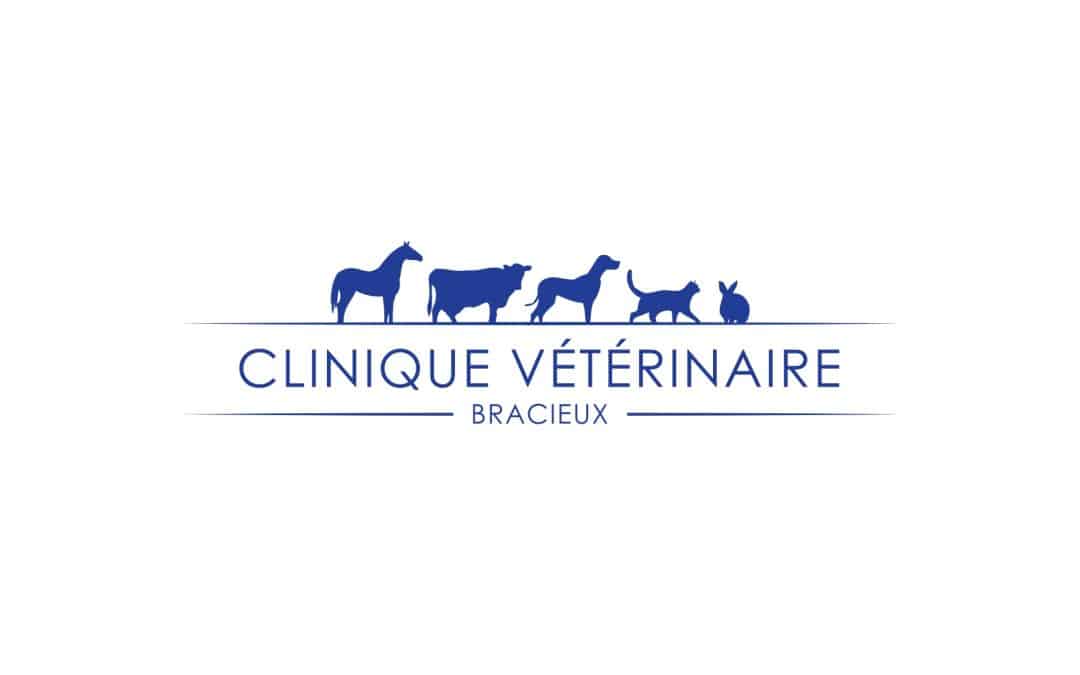 Vétérinaire canin ou mixte passionné par l’orthopédie – Bracieux (41) (F/H)
