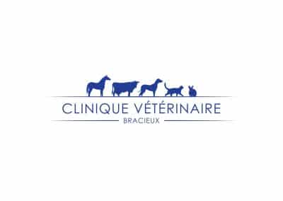 Vétérinaire canin ou mixte passionné par l’orthopédie – Bracieux (41) (F/H)